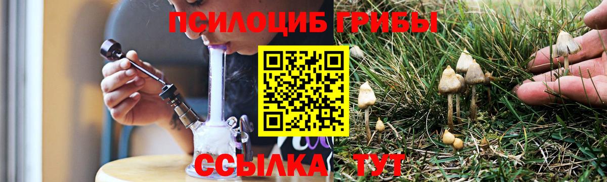 Псилоцибиновые грибы ЛСД  Вход с VPN  Азнакаево  Галлюциногенные грибы Psilocybine cubensis 